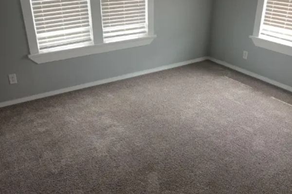 Basic Carpet Cleaning and Shampooing