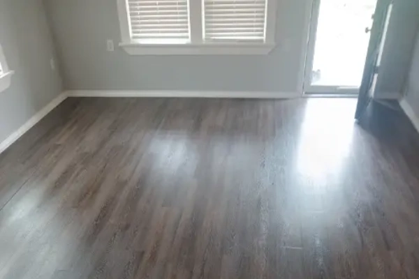 Move-In and Move-Out Cleaning