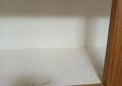 Expert Residential Cleaning