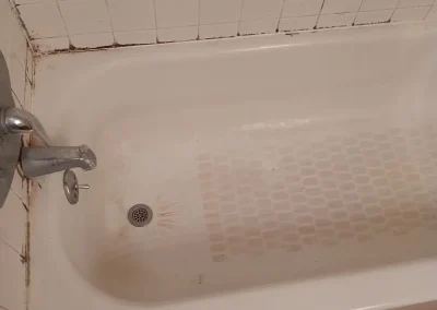 Expert Residential Cleaning